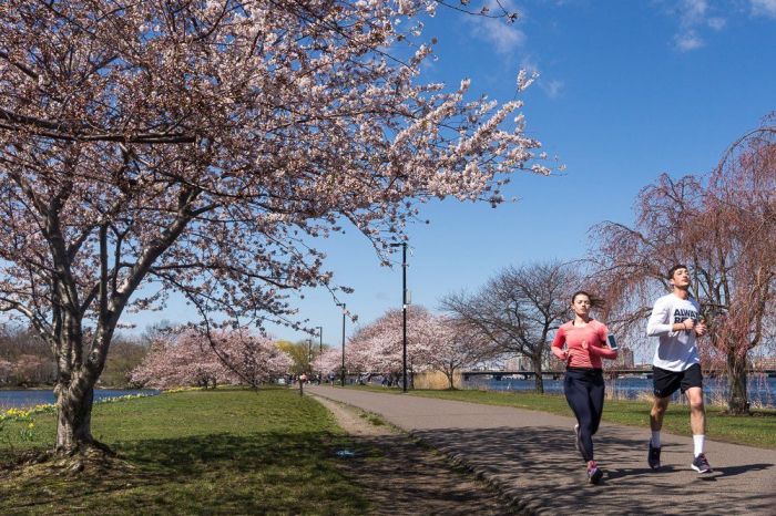 Boston Outdoor Activity Esplanade credit Heather Kang