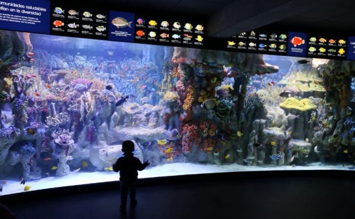 Virtual Tours of Cool Places Games, Learning More Social Distancing Activities