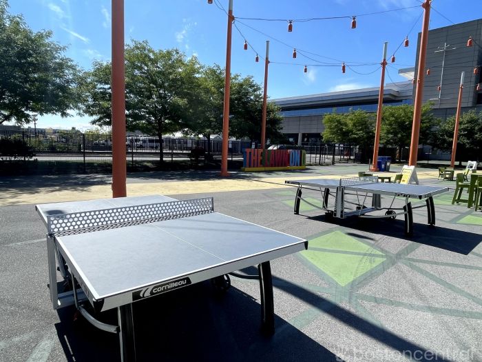 lawn on D ping Pong Tables