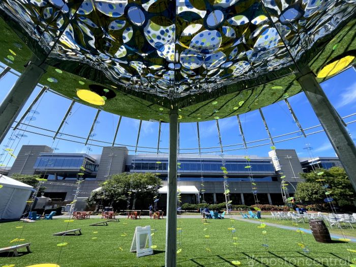 lawn on d boston free things to do