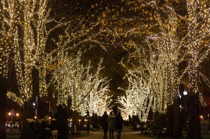 Ultimate Guide to Winter Fun in and around Boston