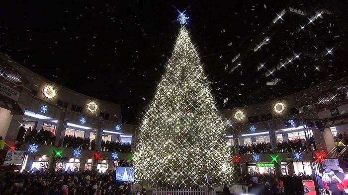 Boston Holiday Lights | Christmas Tree Faneuil Hall